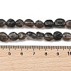 Natural Ice Obsidian Beads Strands G-P623-A01-01-5