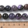 Natural Charoite Beads Strands G-C270-O03-12-5