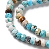 Natural Howlite Beads Strands G-H025-03B-05-4