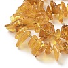 Natural Amber Beads Strands G-L095-D01-03-4