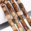 Natural Picture Jasper Beads Strands G-Q606-01A-01-1