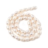 Natural Cultured Freshwater Pearl Beads Strands PEAR-I007-01B-05B-3