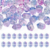 30Pcs Transparent Handmade Lampwork Beads LAMP-TADJ0001-12D-1