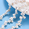 Natural Keshi Pearl Beads Strands PEAR-S020-R01-1