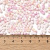 Baking Paint Glass Seed Beads SEED-F005-01A-11-4