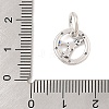 Luminous 925 Sterling Silver Rhinestone Constellation Charms STER-H114-01AS-07-3