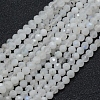 Natural Rainbow Moonstone Beads Strands X-G-E411-08-4mm-1