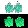 Gradient Color & Luminous Opaque Resin Pendants RESI-S011-01B-2