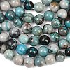 Natural Chrysocolla Beads Strands G-K405-B01-10mm-5