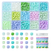 DIY Column Glass Seed Beads Bracelets Making Kits SEED-FS0001-38-1