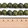 Olive Z0NCT015-5