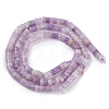 Natural Lepidolite/Purple Mica Stone Beads Strands G-H230-55-3