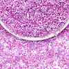 100G Electroplate Glass Seed Beads GLAA-SZ0002-16A-1