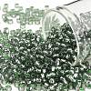 TOHO Round Seed Beads SEED-XTR08-2202-1