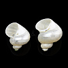 Natural Spiral Shell Beads X-SSHEL-N034-126-2