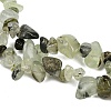 Prehnite Chip Bead Strands G-M205-11-3