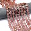 Natural Strawberry Quartz Beads Strands G-P573-C04-01-1