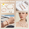 4 Strands 4 Colors Natural Shell Beads Strands SSHEL-PA0001-04-7