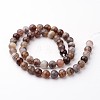 Natural Botswana Agate Bead Strands G-J376-09-8mm-2