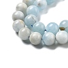 Natural Aquamarine Beads Strands G-R446-10mm-05-01-2