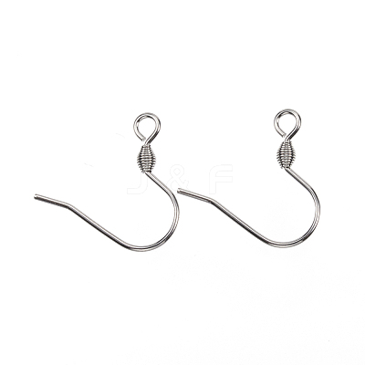 Tarnish Resistant 304 Stainless Steel Earring Hooks STAS-E147-15P-1