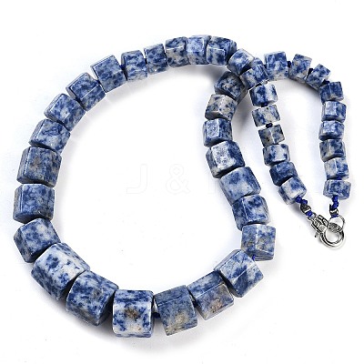 Natural Blue Spot Jasper Hexagon Prism Graduated Beaded Necklaces for Women Men NJEW-K388-03C-1