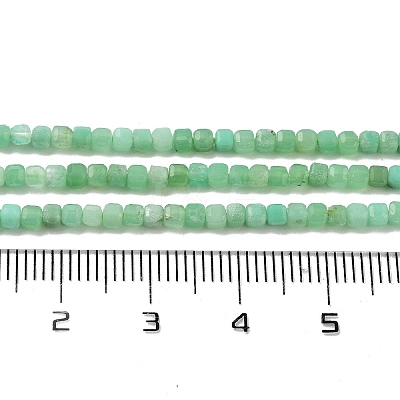 Natural Chrysoprase Beads Strands G-B088-E19-02-1
