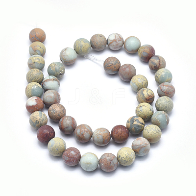 Natural Aqua Terra Jasper Beads Strands G-N0128-48F-10mm-1