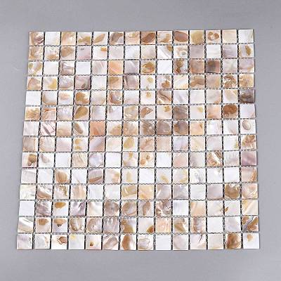Natural Freshwater Shell Mosaic Tile Cabochons SHEL-Q029-05A-1
