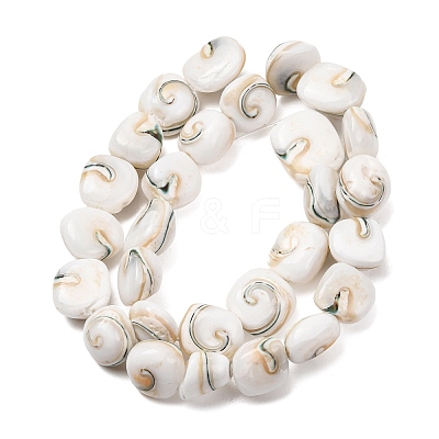 Natural Seashell Shell Beads Strands SH-CBAFA8D-01-1