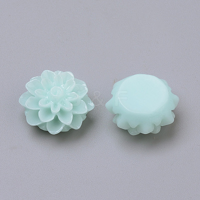 Resin Cabochons RB772Y-16-1
