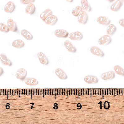 Opaque Colours Luster Glass Seed Beads SEED-T006-02H-1