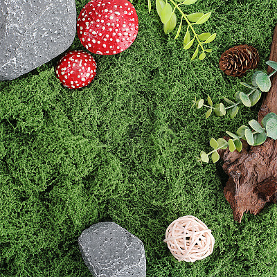 150g Artificial Moss Rocks DJEW-SP0001-22A-1