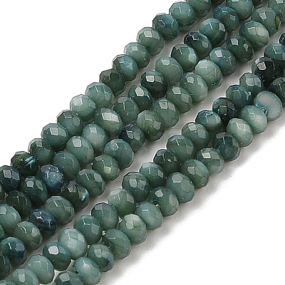 Natural Freshwater Shell Dyed Beads Strands SHEL-R100-13A-05-1