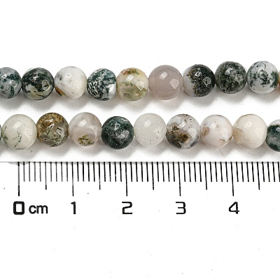 Natural Tree Agate Round Gemstone Beads Strands G-R255-6mm-1