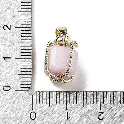 Natural Kunzite Gift Box Charms G-P523-01G-04-1