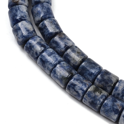 Natural Blue Spot Jasper Beads Strands G-G275-D21-10x10mm-1