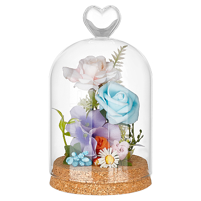 Glass Dome Cover AJEW-WH0604-68D-1