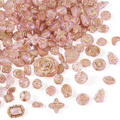 100G Transparent Acrylic Beads OACR-BT0001-05D-1