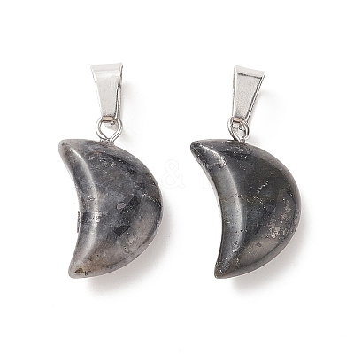 Natural Larvikite Pendants G-Q369-16-1