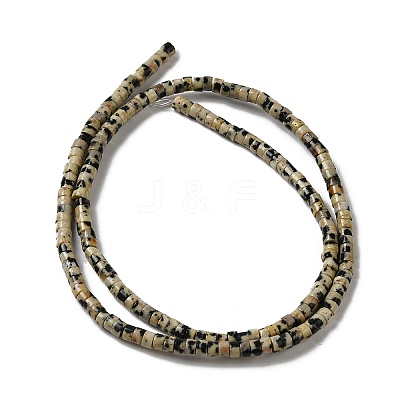 Natural Dalmatian Jasper Beads Strands G-E612-A01-A-1