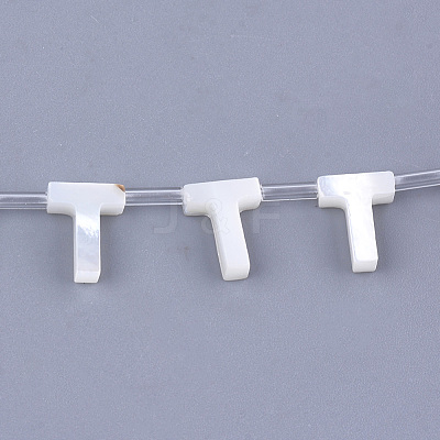 Natural Sea Shell Beads SHEL-T012-60T-1