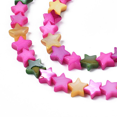Natural Freshwater Shell Beads Strands SHEL-S278-022C-1