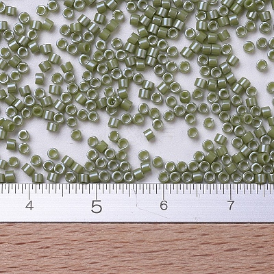 MIYUKI Delica Beads X-SEED-J020-DB0263-1