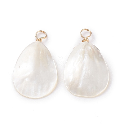 Natural Trochid Shell/Trochus Shell Pendants X-PALLOY-JF01393-1