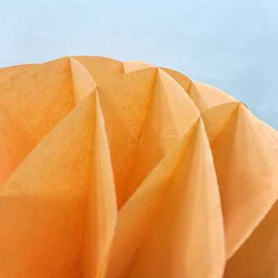 Paper Honeycomb Ball AJEW-WH0003-20cm-05-1