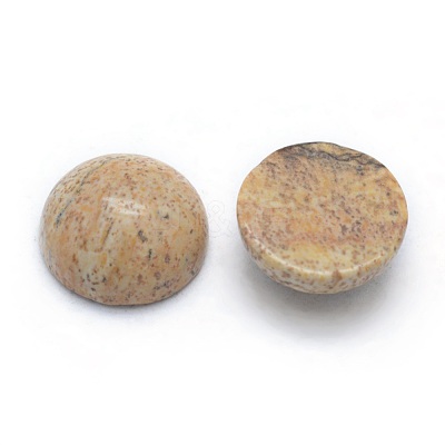 Natural Picture Jasper Cabochons G-P393-R51-6MM-1