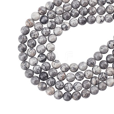Natural Map Stone/Picasso Stone/Picasso Jasper Beads Strands G-AR0002-17-1