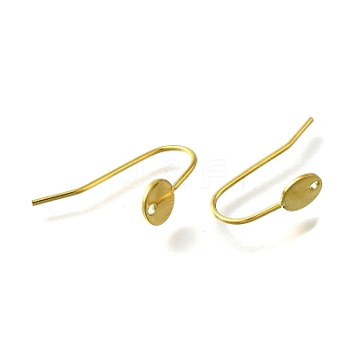 304 Stainless Steel Earring Hooks LS-STAS-B087-09A-G-1