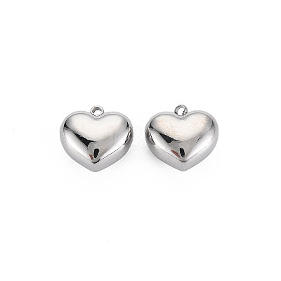 Non-Tarnish 304 Stainless Steel Charms LS-STAS-N097-148P-1